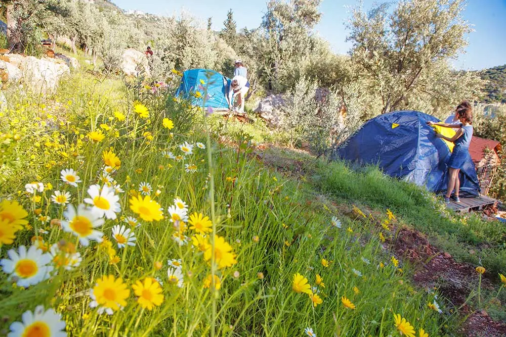 Kaş Evren Camping Fotoğrafı