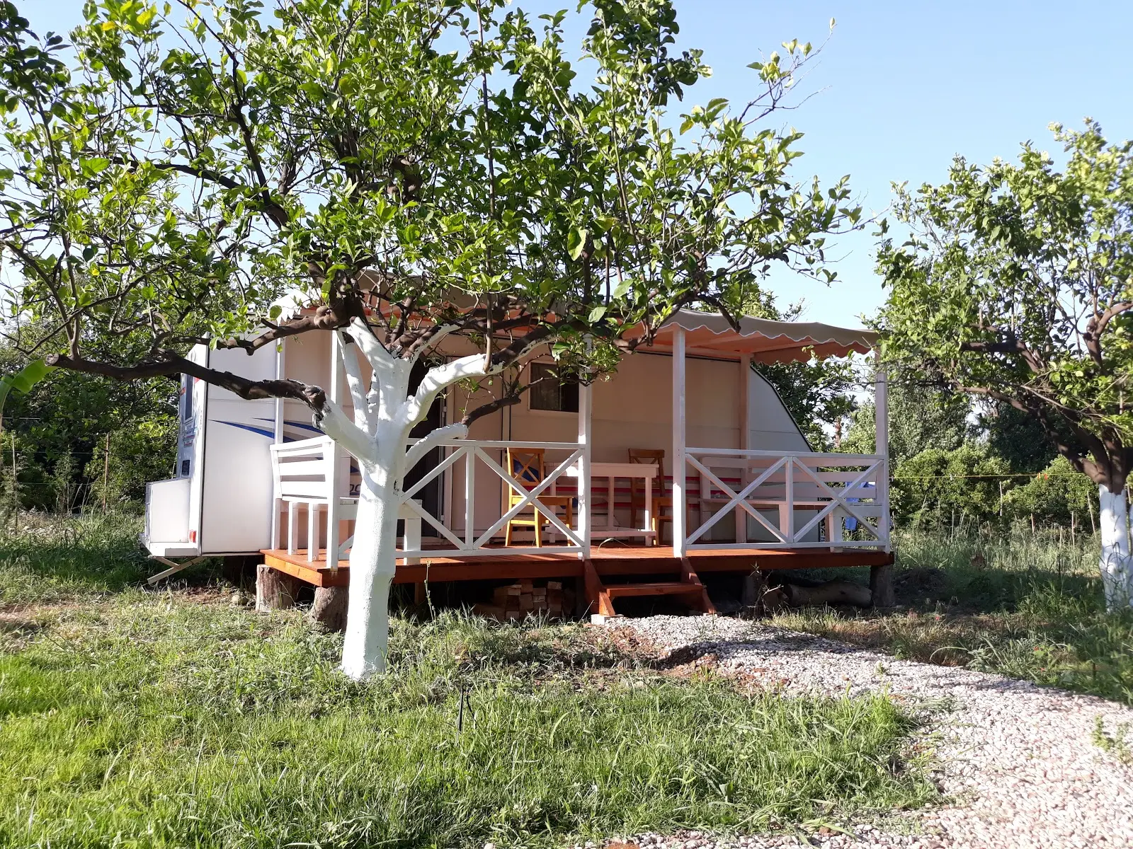 Bellerofon Camping Fotoğrafı