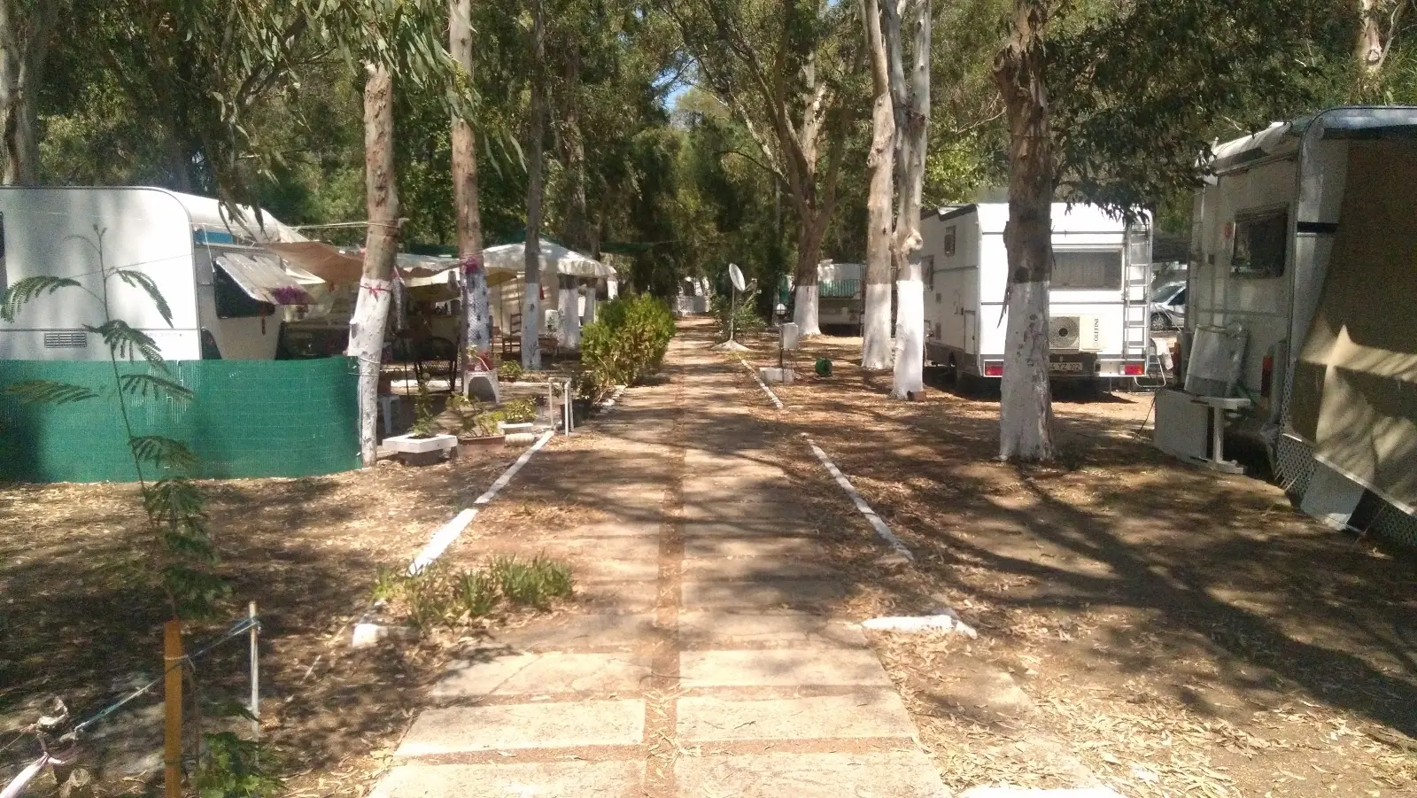 Zetaş Camping Fotoğrafı