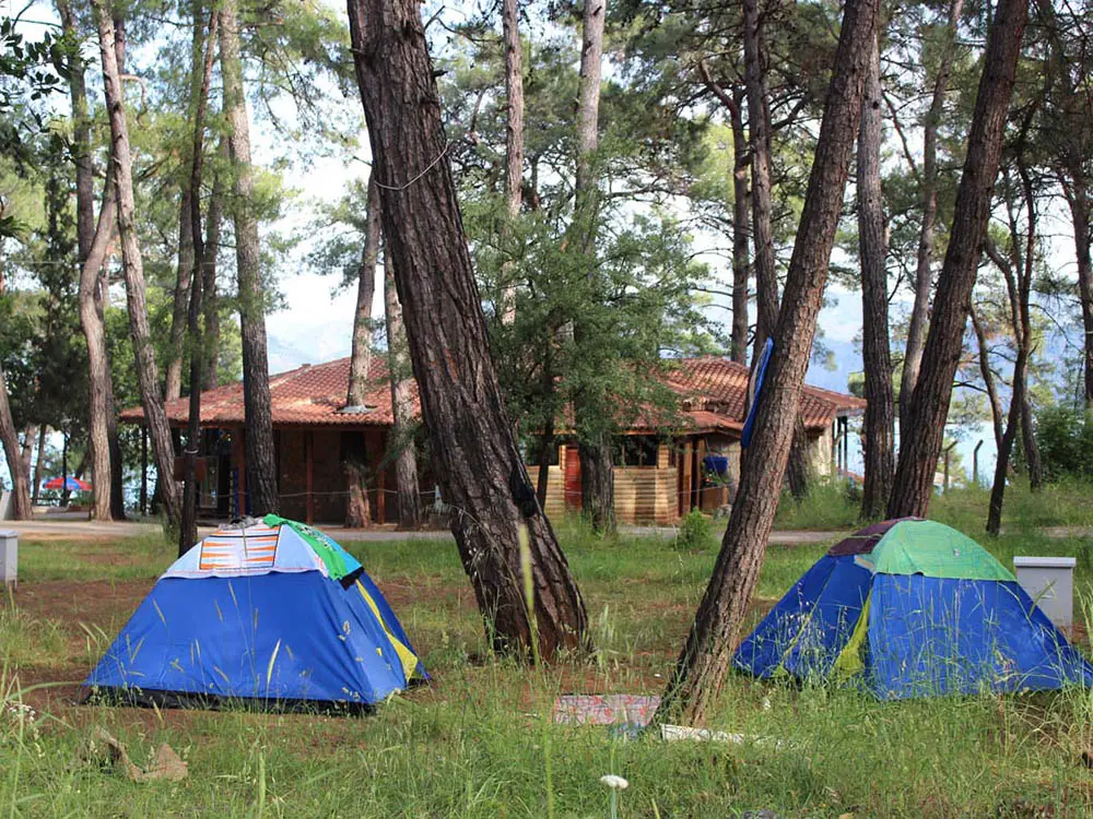 Akyaka Orman Kampı Fotoğrafı