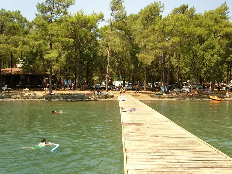 Çubucak Orman Camping Fotoğrafı
