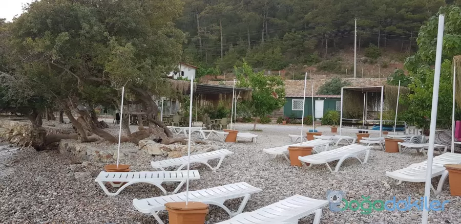 Turnalı Boncuk Camping Fotoğrafı