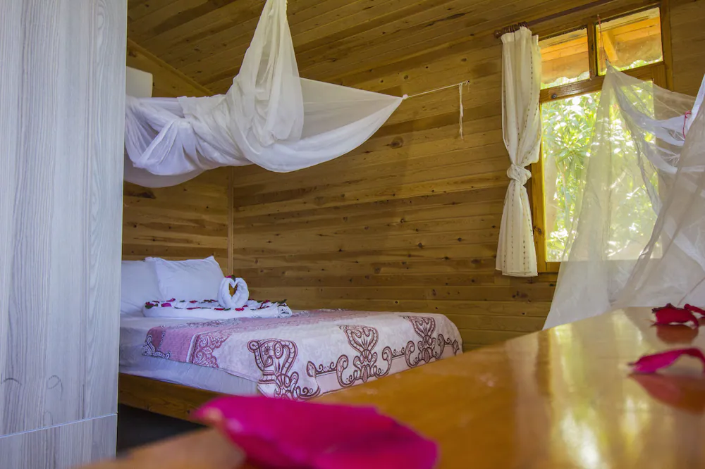 Fullmoon Camping Fotoğrafı