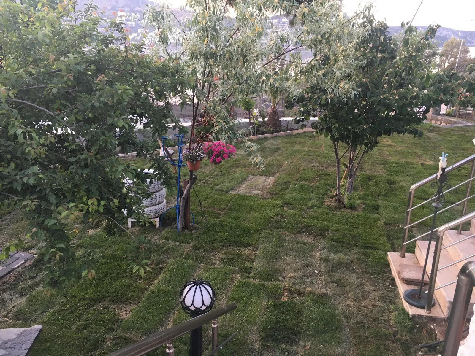 Bodrum Göltürkbükü Çadır Kamping Fotoğrafı