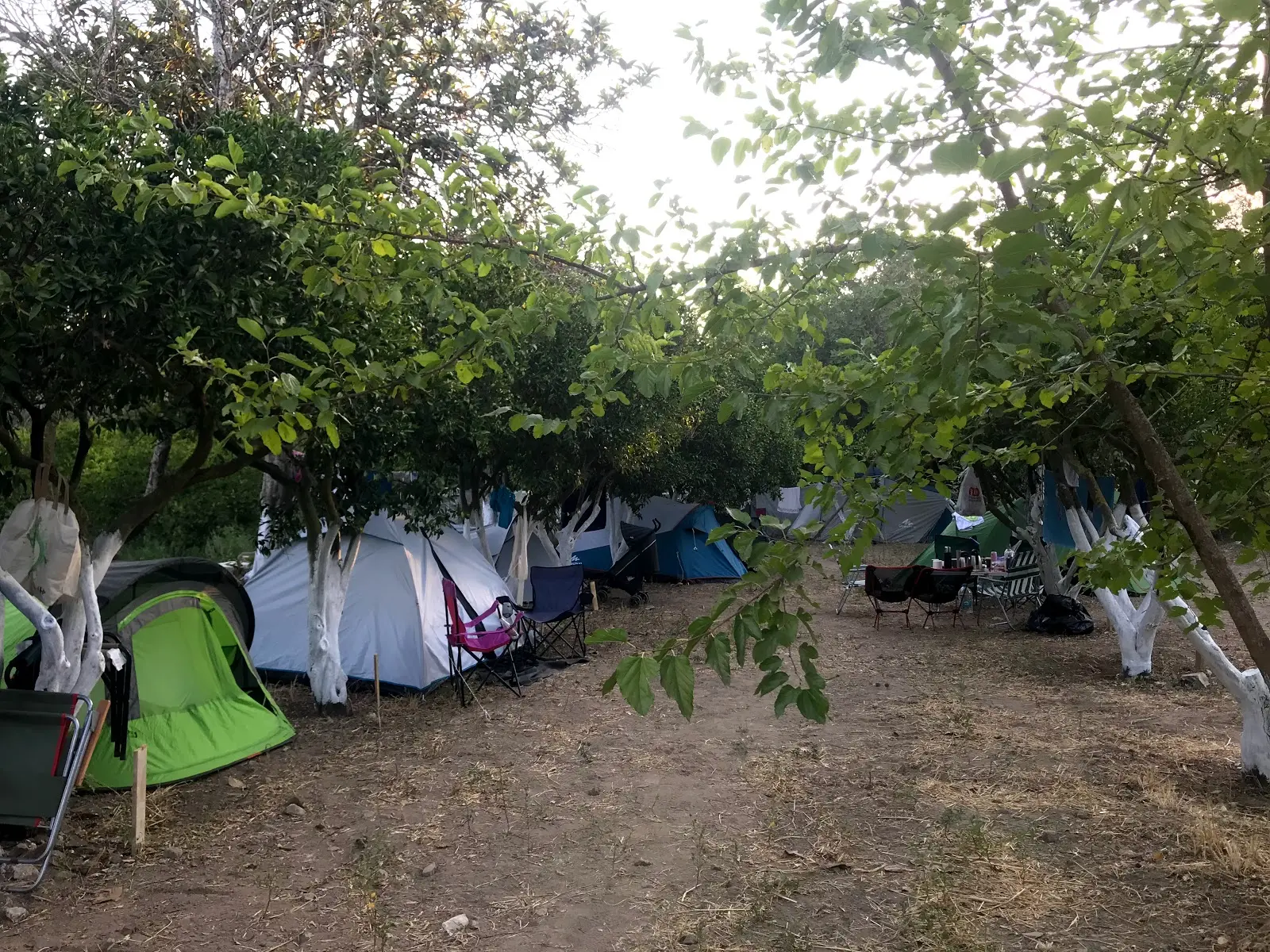 Bodrum Masalı Camping Fotoğrafı