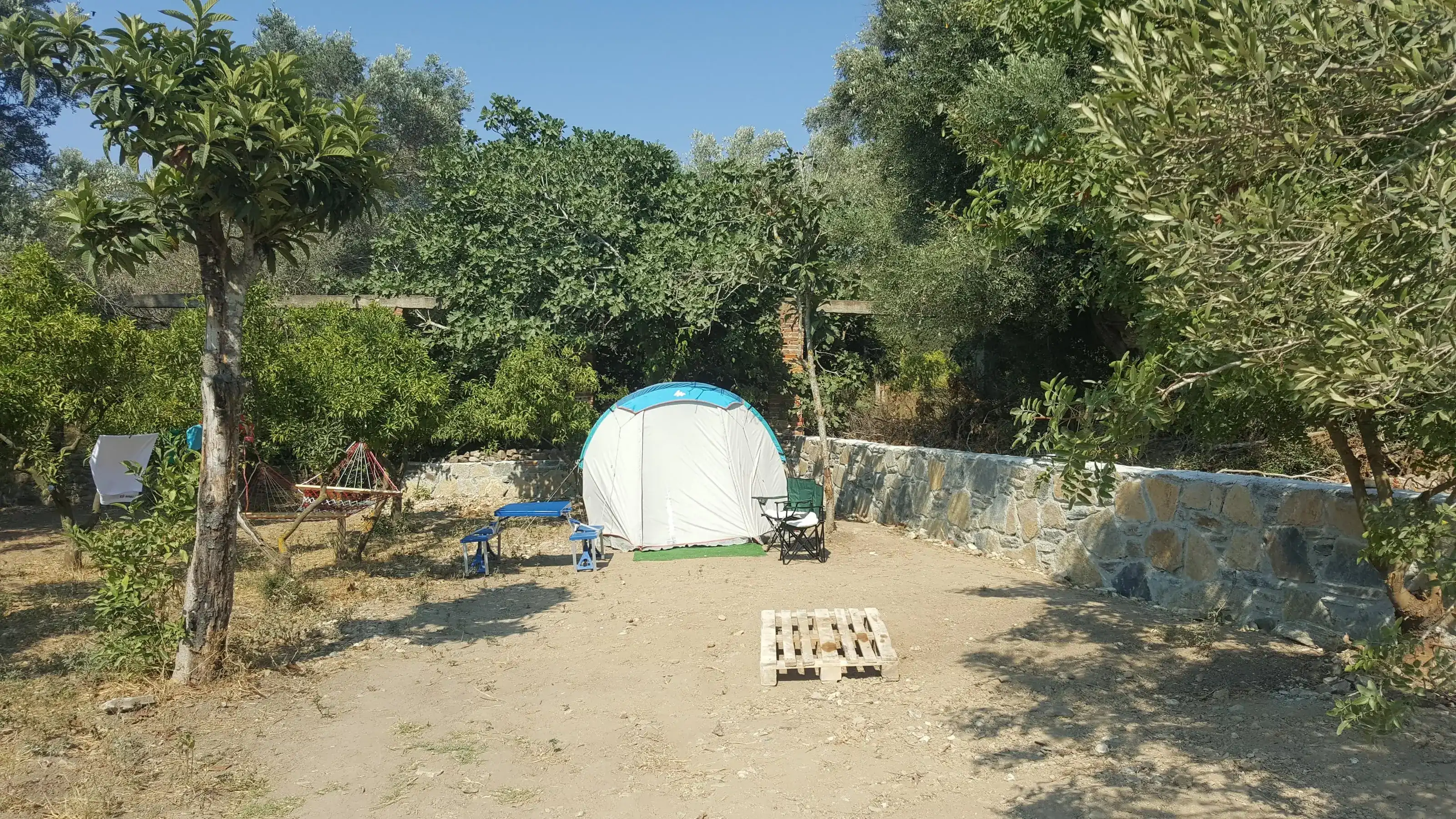 Bodrum Masalı Camping Fotoğrafı