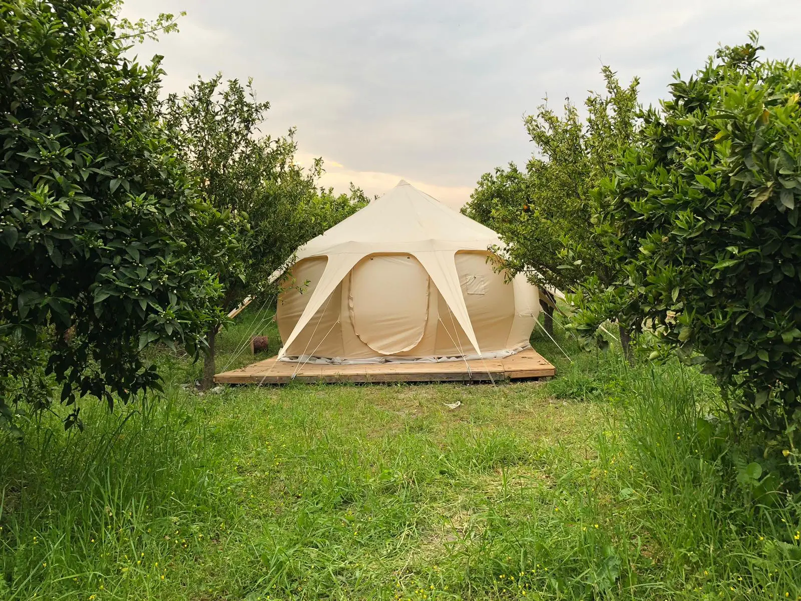 Kamp Lotus Fotoğrafı