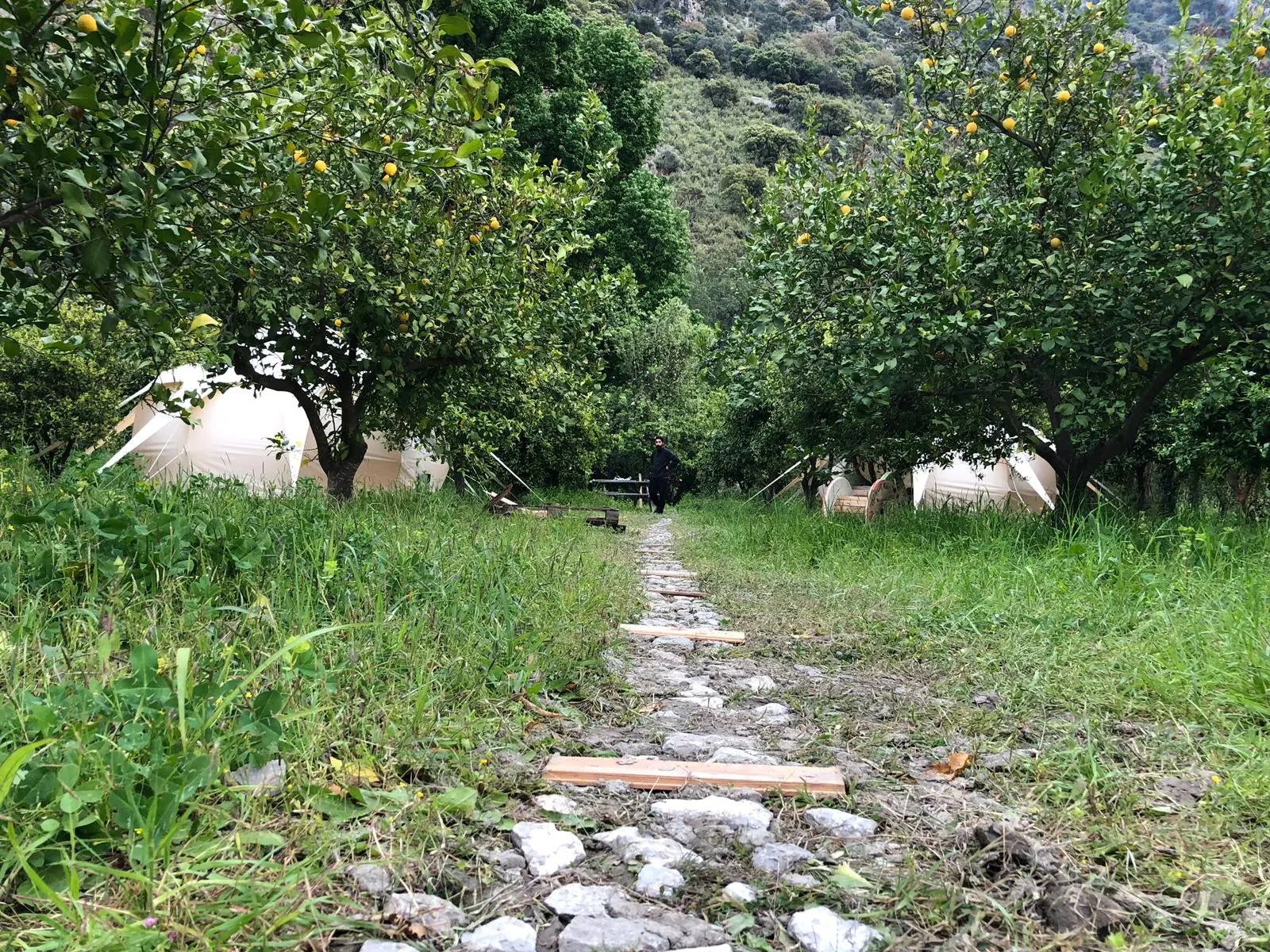 Kamp Lotus Fotoğrafı