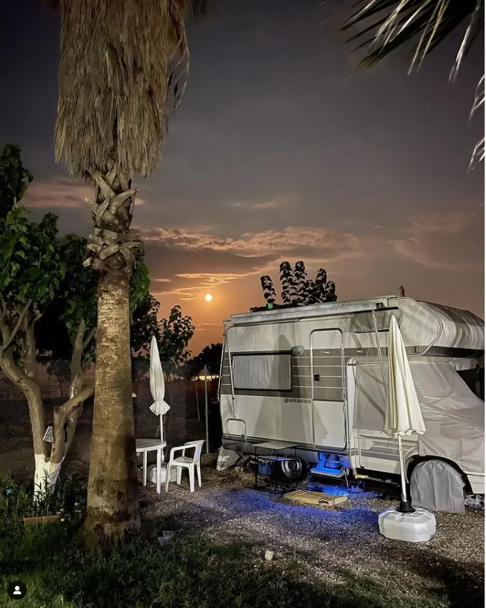 Karavan, dolunay, palmiye, gece