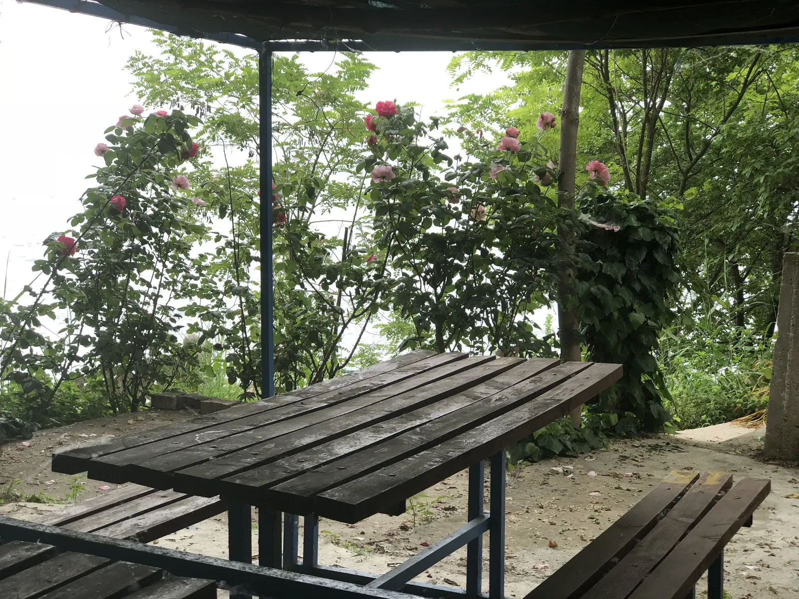 Ünal Camping Fotoğrafı