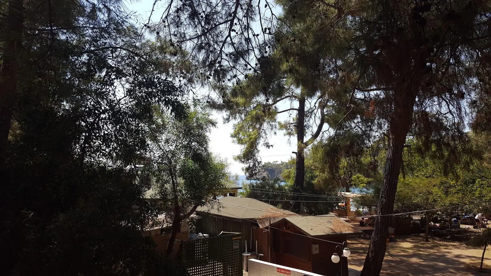 Katrancı Orman Kampı Fotoğrafı