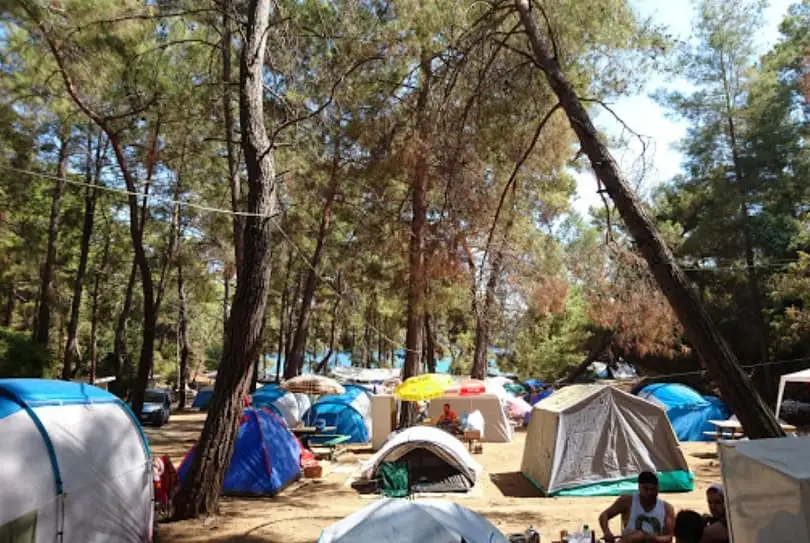 Katrancı Orman Kampı Fotoğrafı