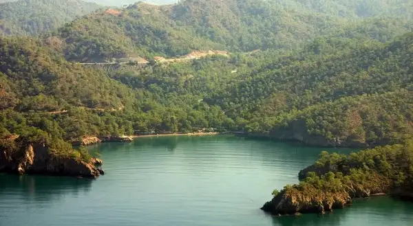 Katrancı Orman Kampı Fotoğrafı