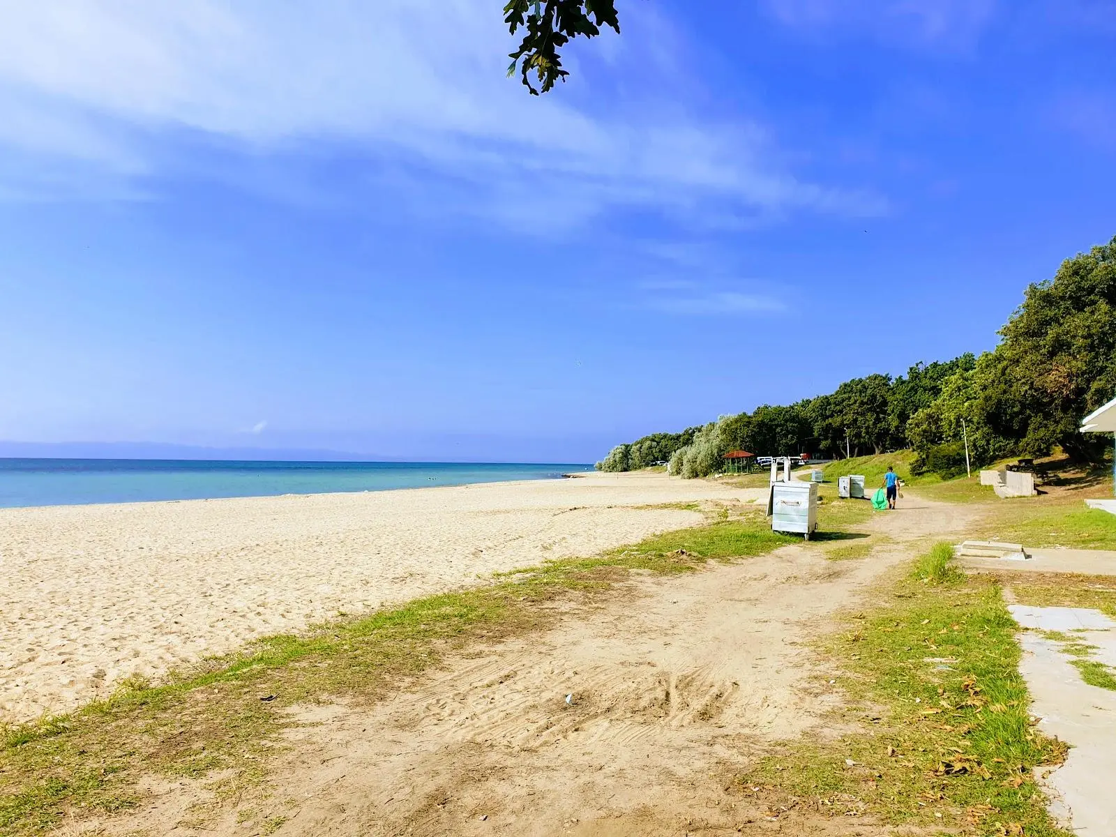 Danişment Orman Kampı Fotoğrafı