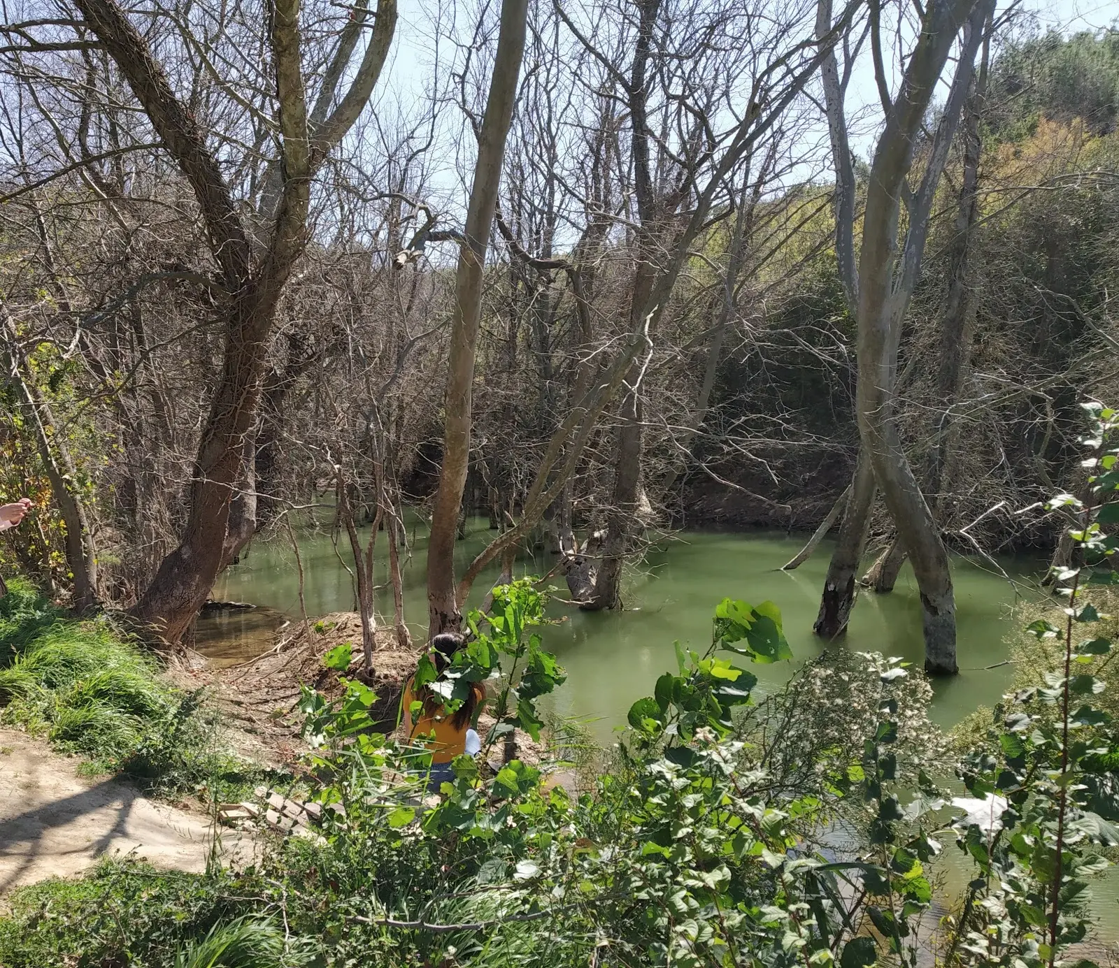 Demircioğlu Camping Fotoğrafı