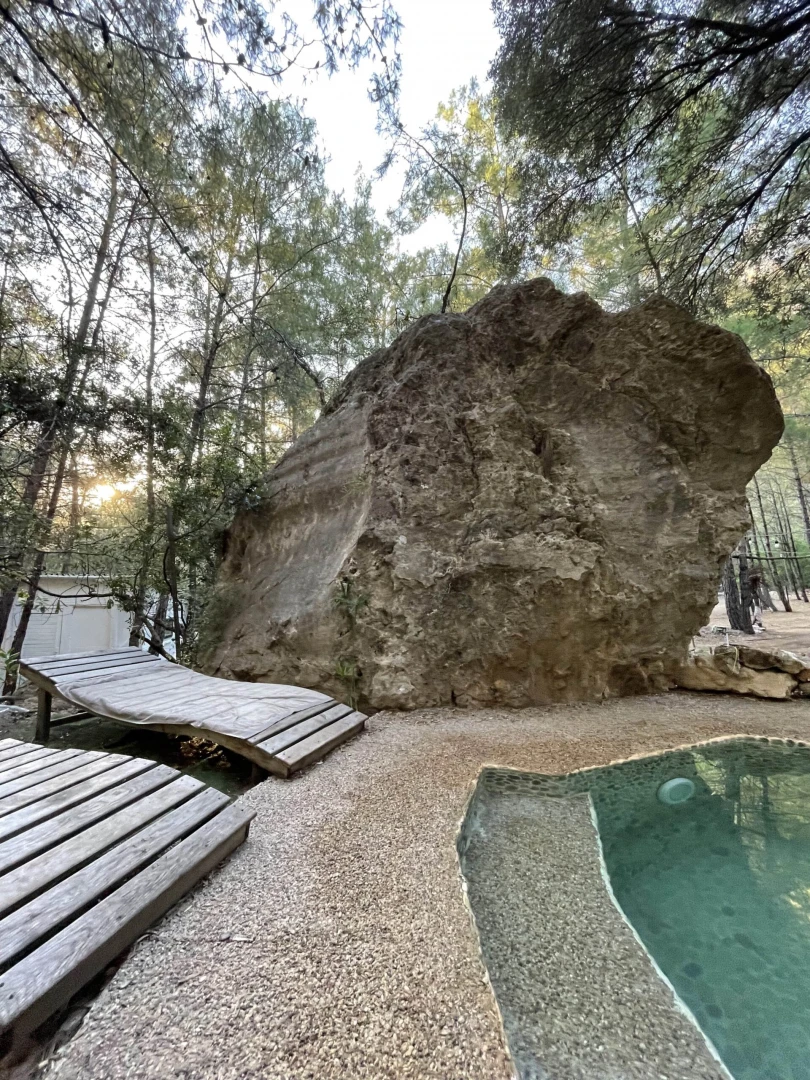 Havuz başı şezlong ve orman