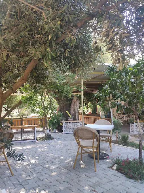 Kaş Harnup Camping Fotoğrafı