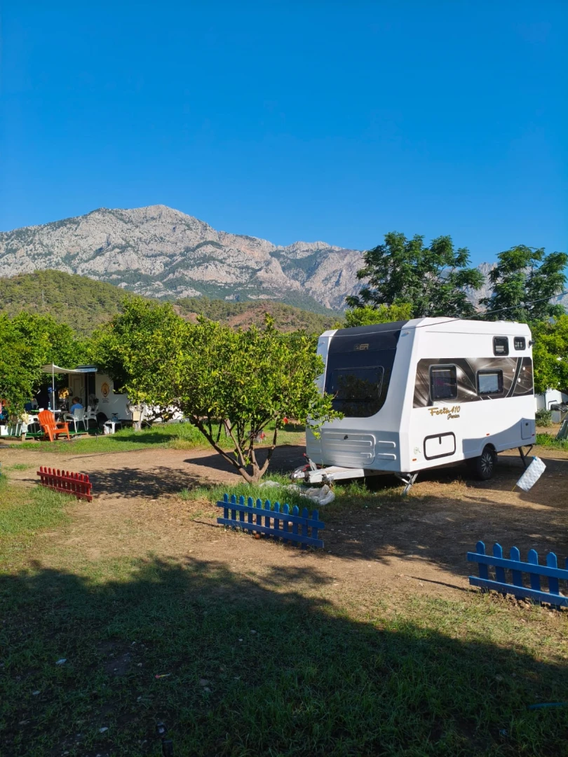 Çekirdeksiz Mandalin Camping - Görsel 5