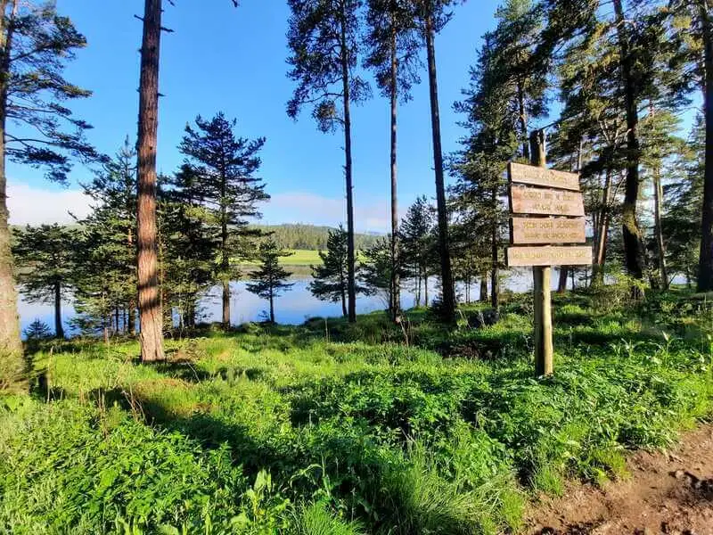 Göksu Tabiat Parkı Kamp Alanı Fotoğrafı