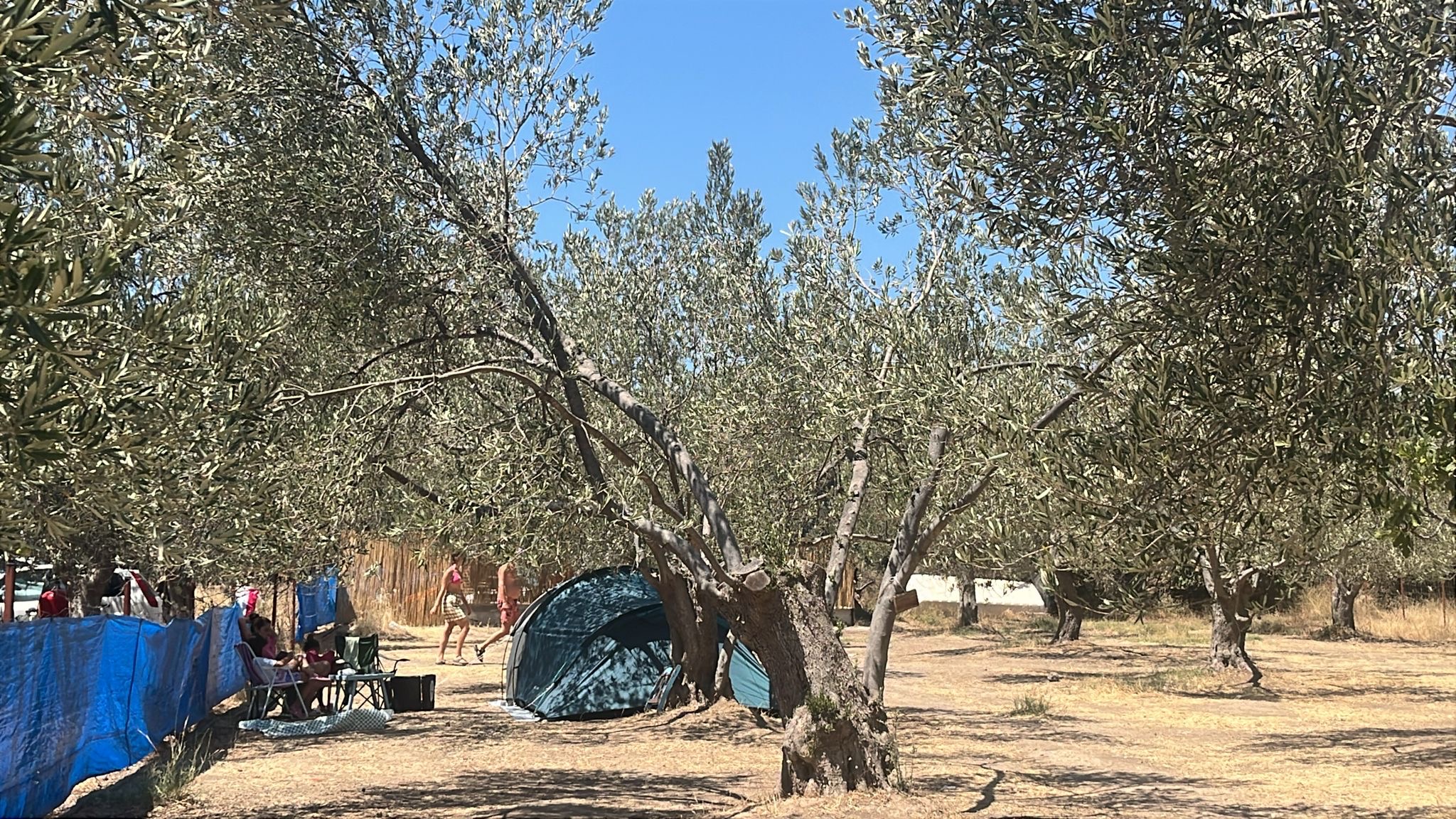Sincap Kamping konaklama alanı görseli