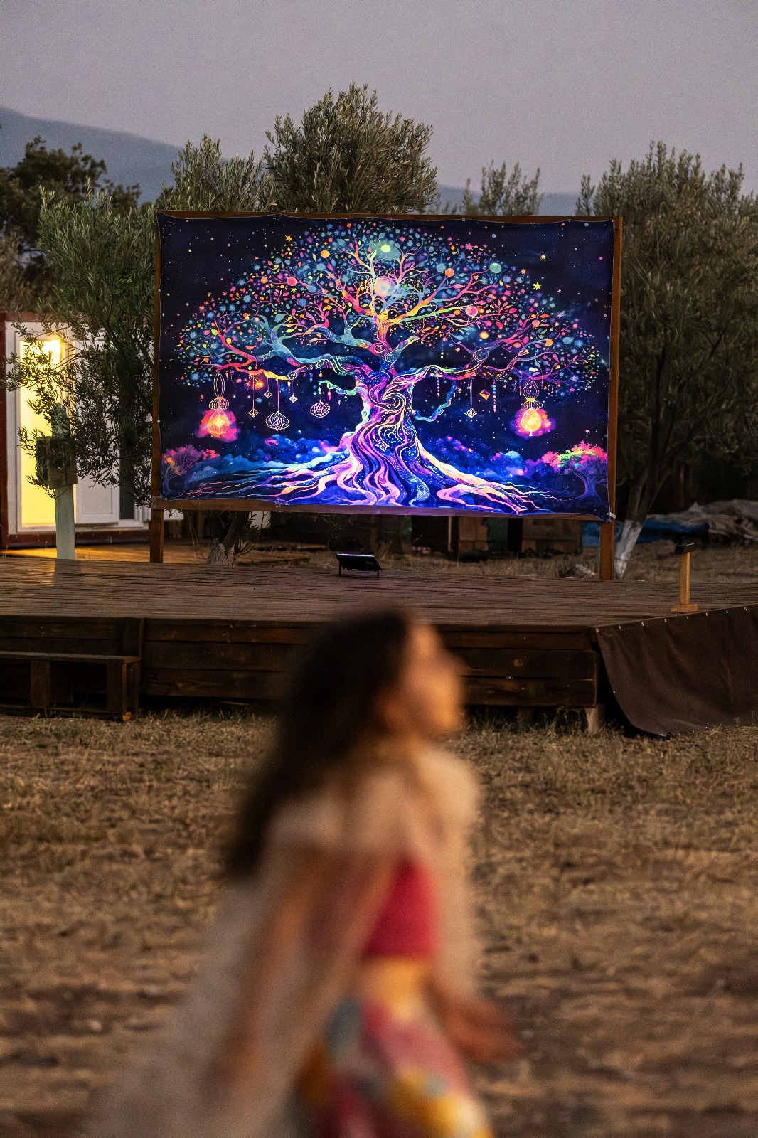 Kampyer Fotoğrafı - WhatsApp Image 2025-07-30 at 10.29.54 (2)