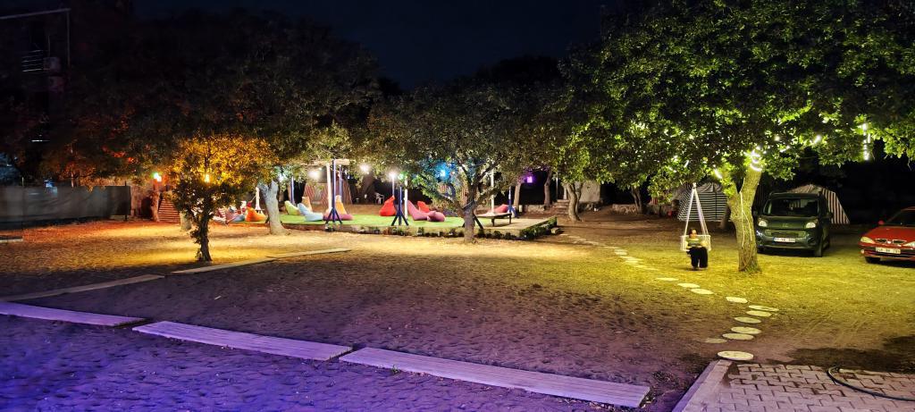 Kampyer Fotoğrafı - WhatsApp Image 2025-07-29 at 16.17.46 (1)