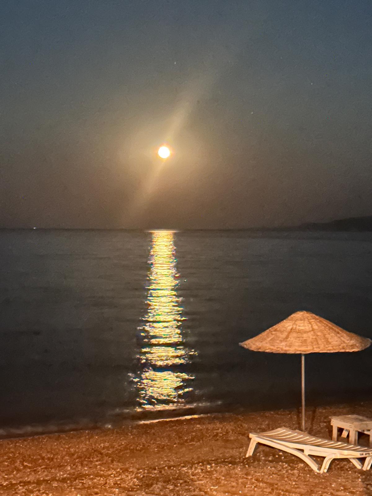 Molivos Campıng plaj görseli