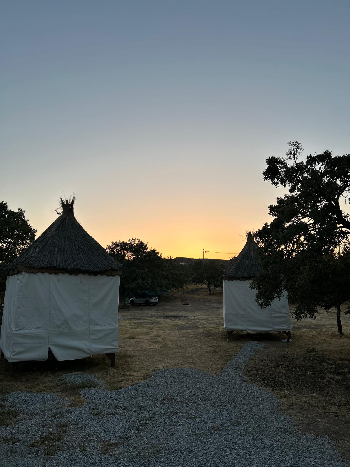 Molivos Campıng konaklama alanı görseli