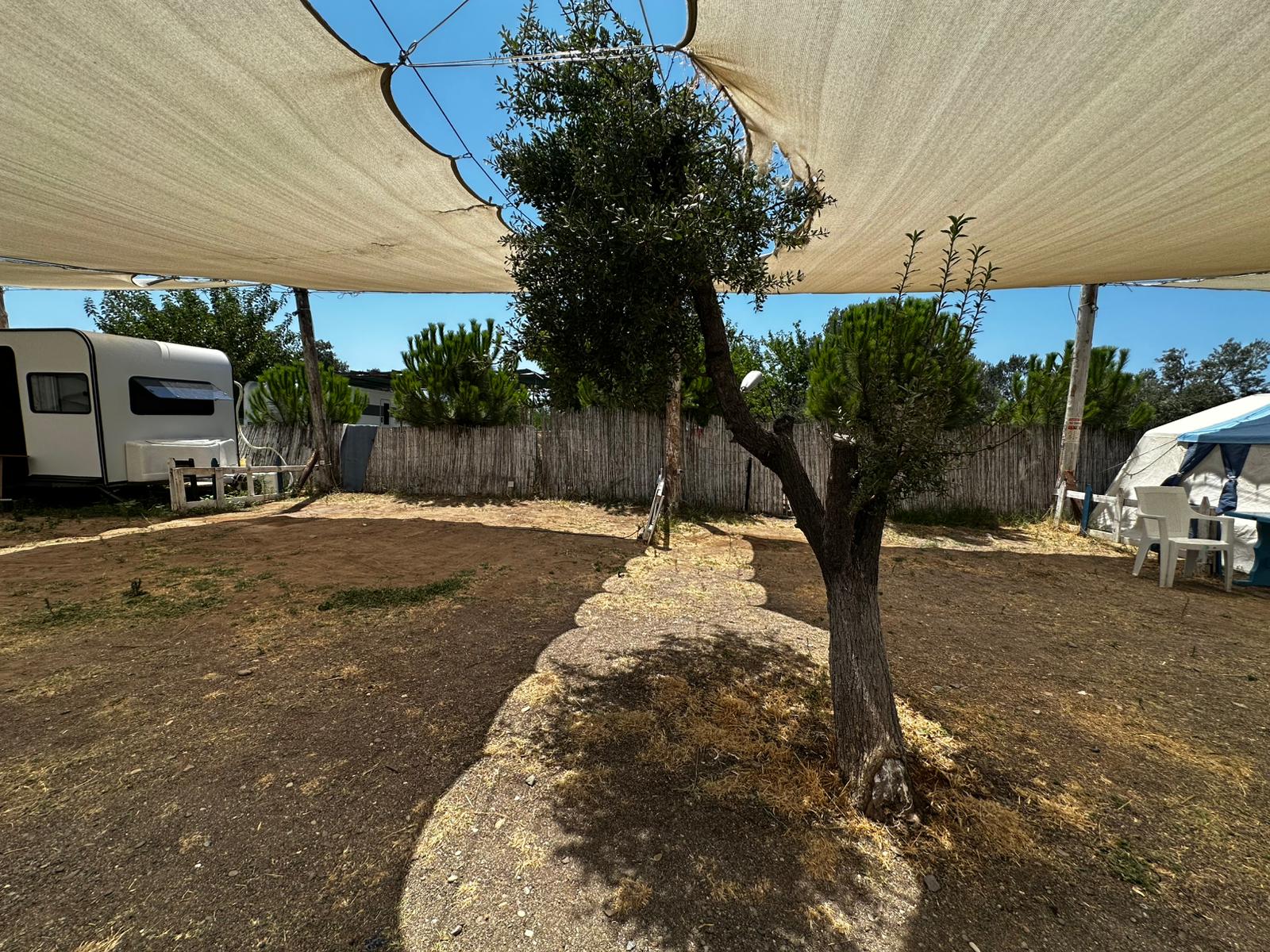 Rüzgar Camping Konaklama alanı görseli