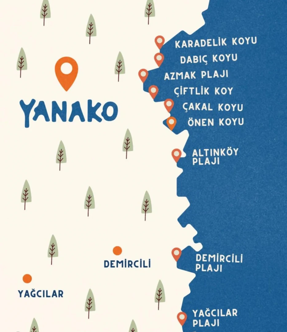 WhatsApp Image 2025-09-19 at 22.42.16