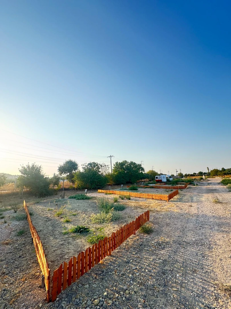 WhatsApp Image 2025-09-19 at 22.48.13