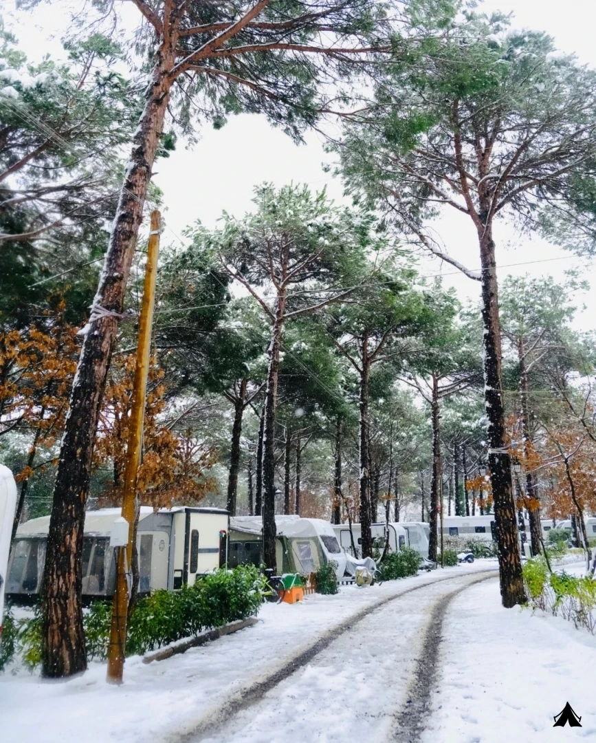 619215714_18067649771547685_8417229215311729677_n