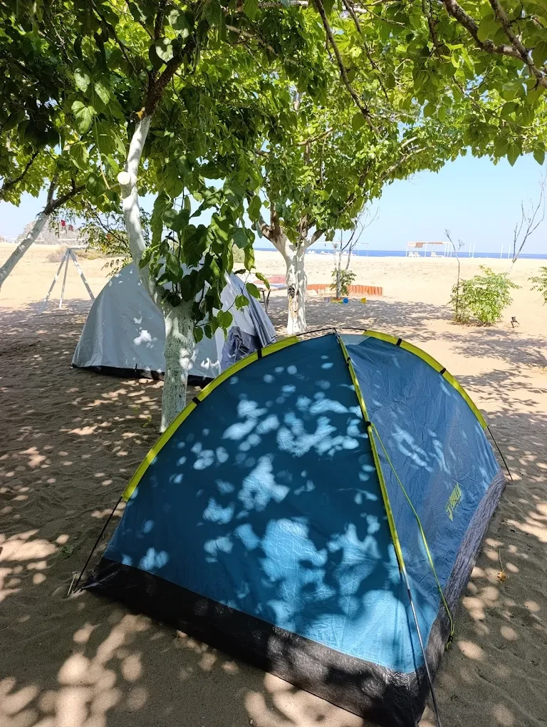 Kumsalda ağaç altı kamp çadırları
