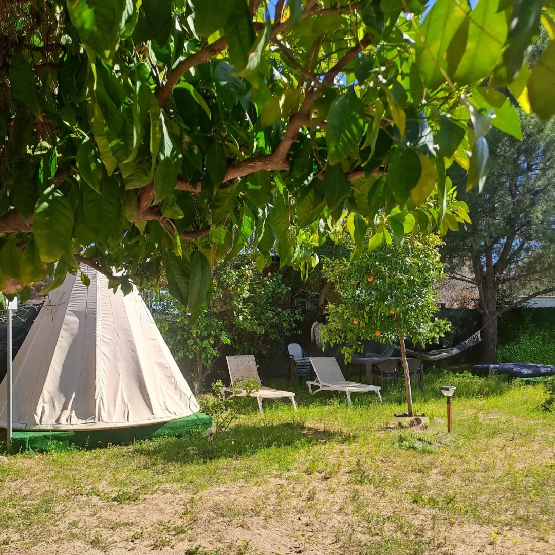 Bahçede beyaz kamp çadırı