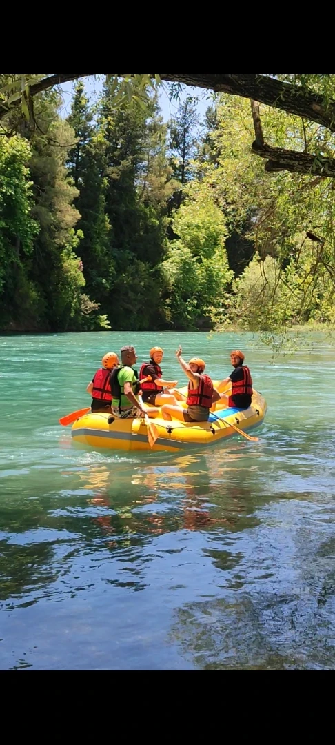 Kampyer Fotoğrafı - 1000479917
