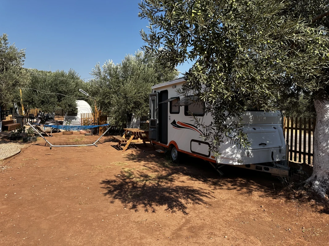 Vamos Camping - Ana görsel