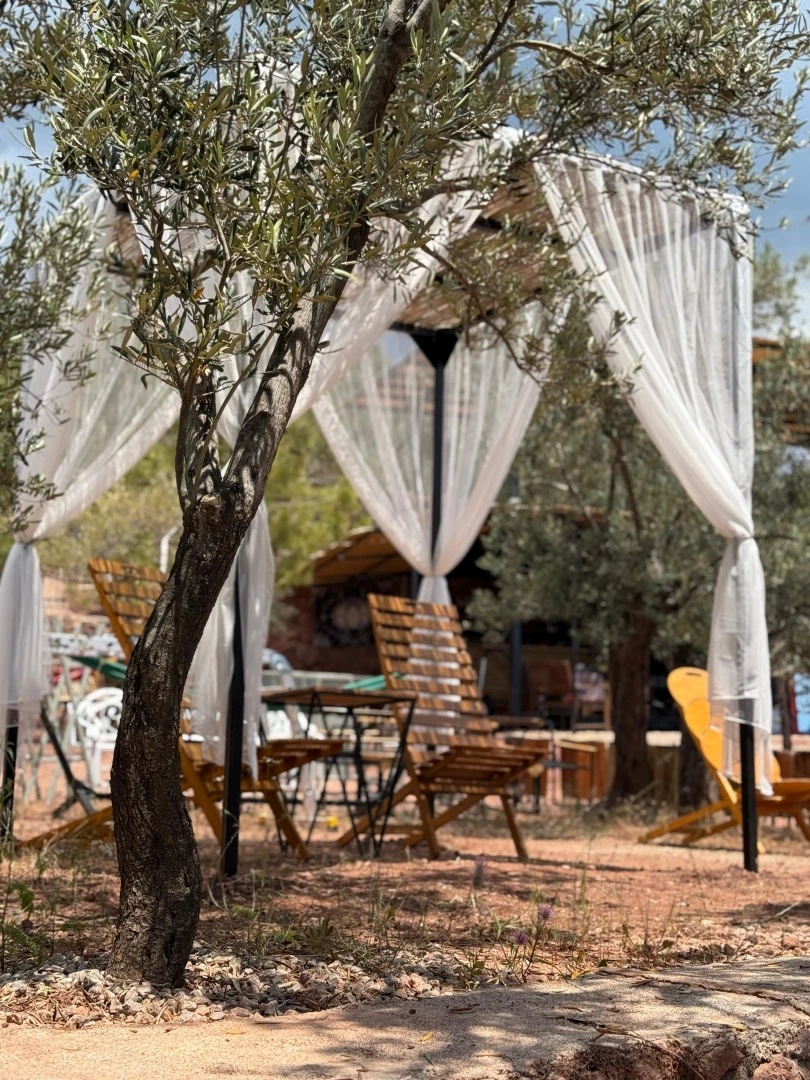 WhatsApp Image 2025-09-16 at 13.32.48 (1)